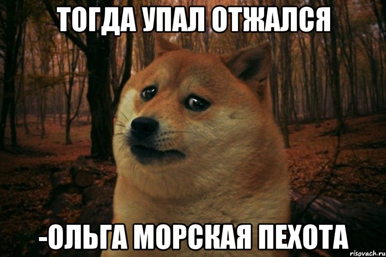 тогда упал отжался -Ольга морская пехота, Мем SAD DOGE