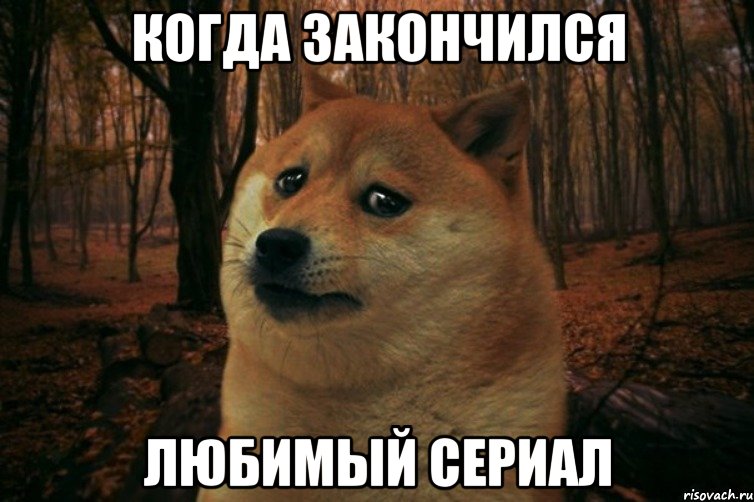 Когда закончился любимый сериал, Мем SAD DOGE