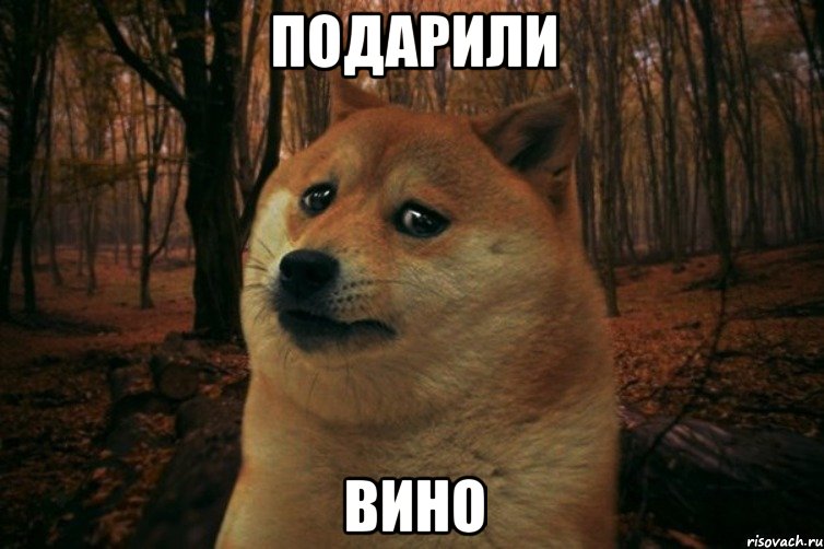 подарили вино, Мем SAD DOGE