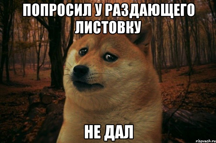 попросил у раздающего листовку не дал, Мем SAD DOGE