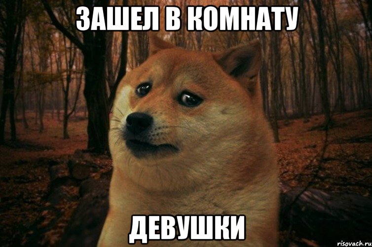 ЗАШЕЛ В КОМНАТУ ДЕВУШКИ, Мем SAD DOGE