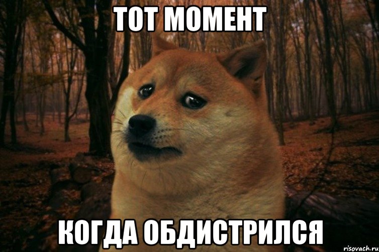 тот момент когда обдистрился, Мем SAD DOGE