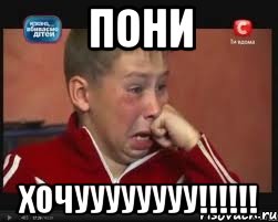 Пони хочуууууууу!!!!!!, Мем  Сашок Фокин
