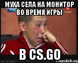 Муха села на монитор во время игры в CS.GO