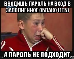 Вводишь пароль на вход в заполненное облако (1ТБ) а пароль не подходит, Мем  Сашок Фокин