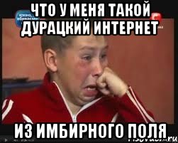 Что у меня такой дурацкий интернет из имбирного поля, Мем  Сашок Фокин