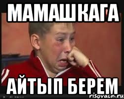 Мамашкага Айтып берем, Мем  Сашок Фокин