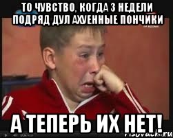 То чувство, когда 3 недели подряд дул ахуенные пончики а теперь их нет!, Мем  Сашок Фокин