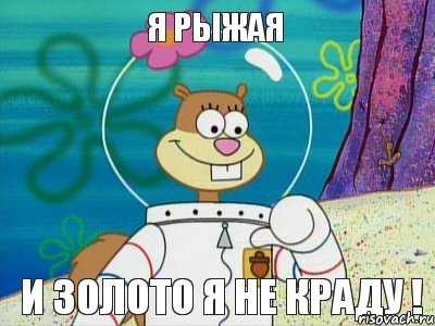 Я рыжая И золото я не краду !