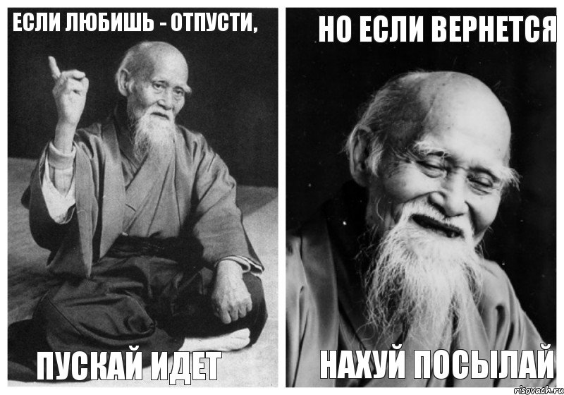 Если любишь - отпусти, пускай идет но если вернется нахуй посылай, Комикс Мудрец-монах (4 зоны)