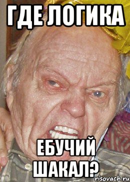где логика ебучий шакал?, Мем шакал