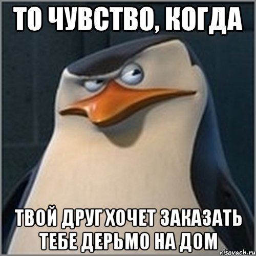 То чувство, когда твой друг хочет заказать тебе дерьмо на дом, Мем шкипер