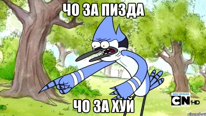чо за пизда чо за хуй, Мем шоу