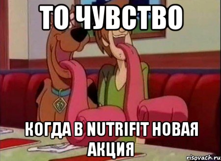 ТО ЧУВСТВО КОГДА В NUTRIFIT НОВАЯ АКЦИЯ