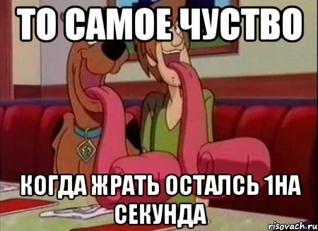 ТО САМОЕ ЧУСТВО КОГДА ЖРАТЬ ОСТАЛСЬ 1НА СЕКУНДА