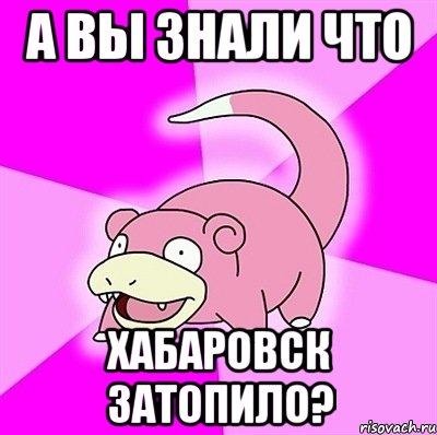 а вы знали что хабаровск затопило?, Мем слоупок