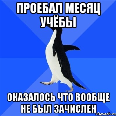 проебал месяц учёбы оказалось что вообще не был зачислен, Мем  Социально-неуклюжий пингвин