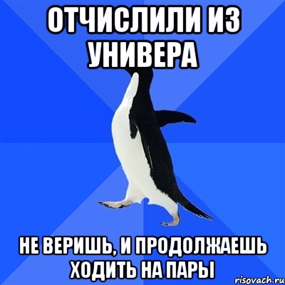 Отчислили из универа Не веришь, и продолжаешь ходить на пары, Мем  Социально-неуклюжий пингвин