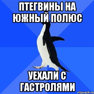 Птегвины на южный полюс Уехали с гастролями, Мем  Социально-неуклюжий пингвин