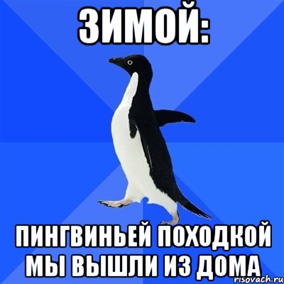 Зимой: пингвиньей походкой мы вышли из дома, Мем  Социально-неуклюжий пингвин