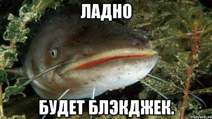 Ладно Будет блэкджек.