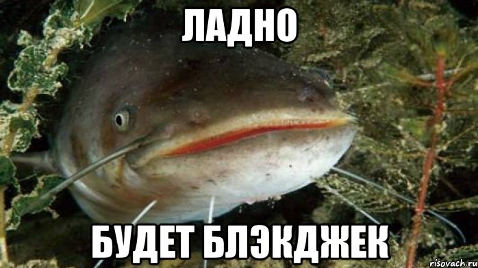 Ладно Будет блэкджек