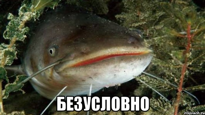  Безусловно