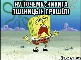 Ну почему ; Никита пшеницын пришёл! , Мем Спанч Боб плачет