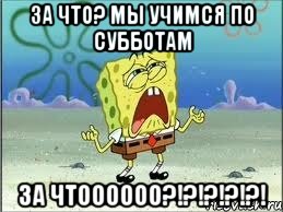 За что? мы учимся по субботам ЗА ЧТОООООО?!?!?!?!?!, Мем Спанч Боб плачет