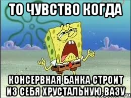 то чувство когда консервная банка строит из себя хрустальную вазу, Мем Спанч Боб плачет