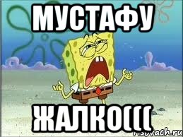 Мустафу Жалко(((, Мем Спанч Боб плачет