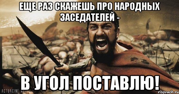 Еще раз скажешь про народных заседателей - в угол поставлю!, Мем Это Спарта