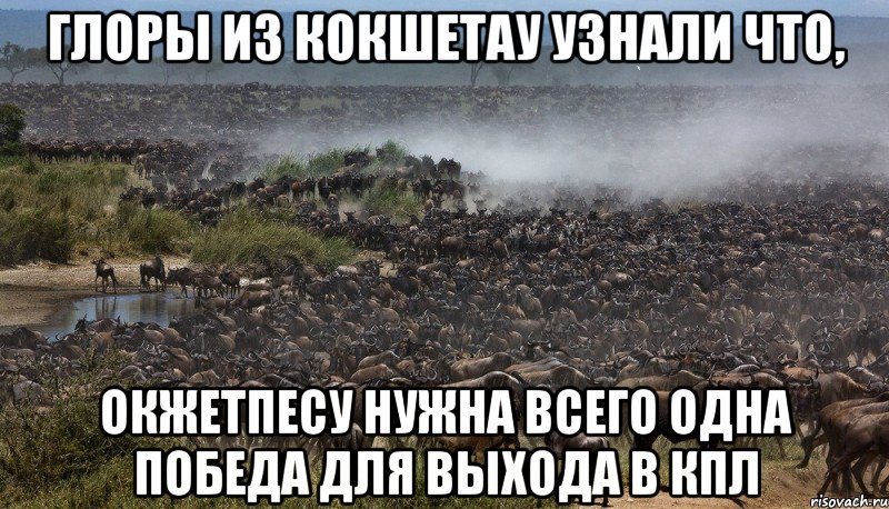 глоры из Кокшетау узнали что, Окжетпесу нужна всего одна победа для выхода в КПЛ, Мем Стадо