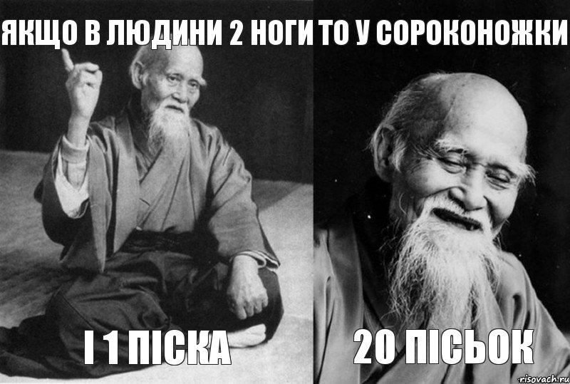 якщо в людини 2 ноги і 1 піска то у сороконожки 20 пісьок, Комикс Мудрец-монах (4 зоны)