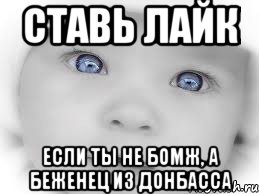 Ставь лайк если ты не бомж, а беженец из донбасса, Мем мальчик