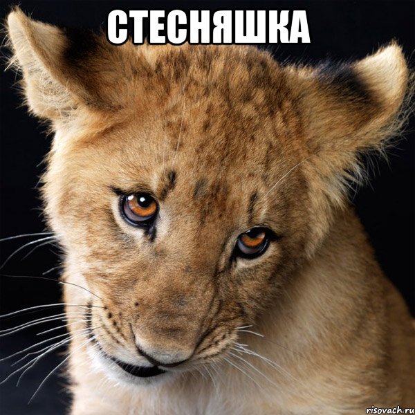 Стесняшка , Мем стесняшка