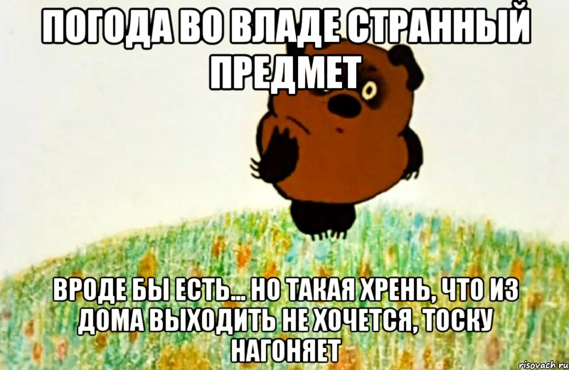 Погода во Владе странный предмет вроде бы есть... но такая хрень, что из дома выходить не хочется, тоску нагоняет, Мем ВИННИ ПУХ