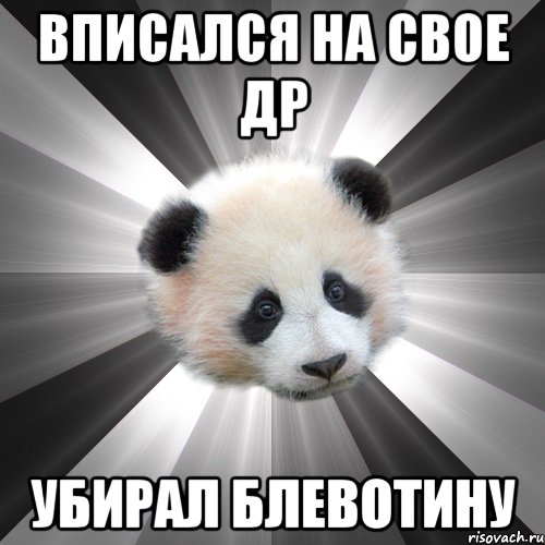 вписался на свое др убирал блевотину, Мем Стыдливая сожалеющая панда  Regr