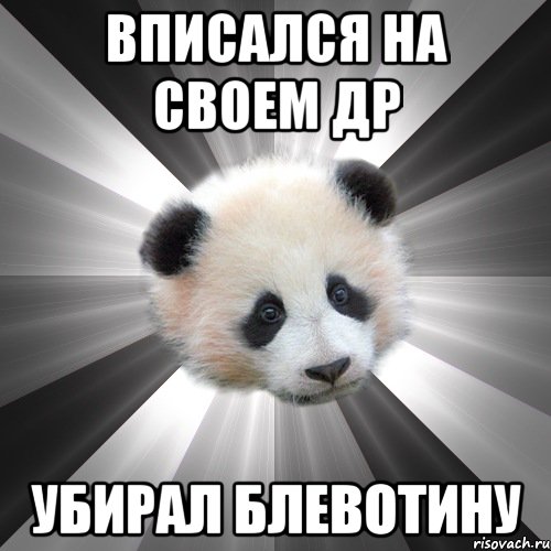 вписался на своем др убирал блевотину, Мем Стыдливая сожалеющая панда  Regr