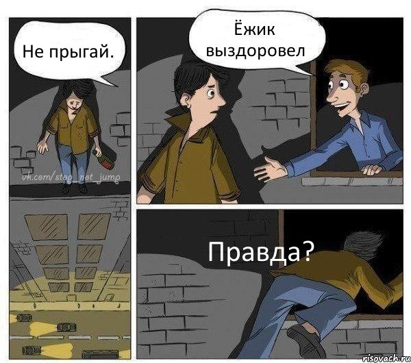 Не прыгай. Ёжик выздоровел Правда?, Комикс Передумал прыгать