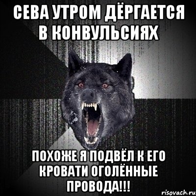 Сева утром дёргается в конвульсиях Похоже я подвёл к его кровати оголённые провода!!!, Мем Сумасшедший волк