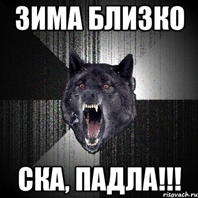 ЗИМА БЛИЗКО СКА, ПАДЛА!!!, Мем Сумасшедший волк