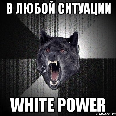 В любой ситуации WHITE POWER, Мем Сумасшедший волк