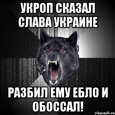 Укроп сказал слава украине Разбил ему ебло и обоссал!, Мем Сумасшедший волк