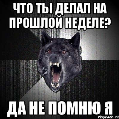 Что ты делал на прошлой неделе? Да не помню я, Мем Сумасшедший волк