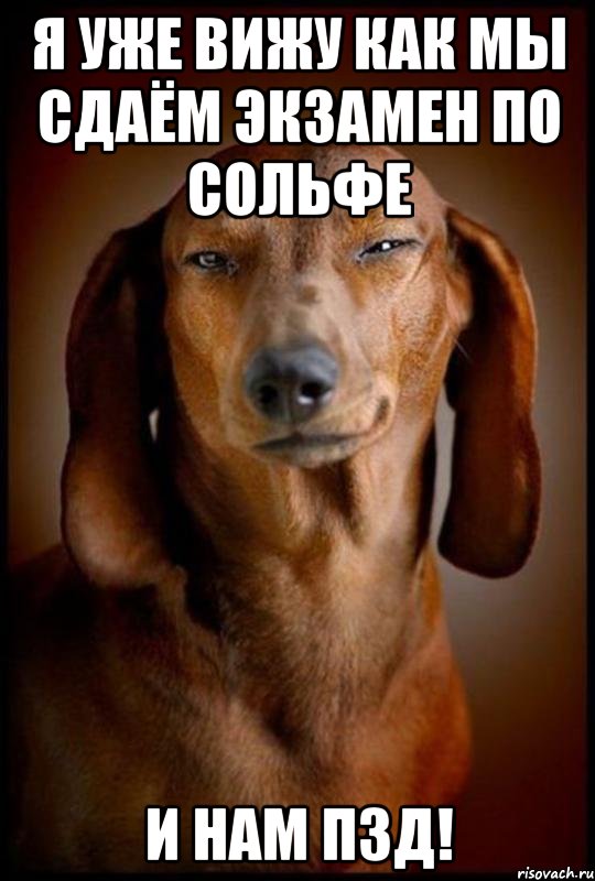 Я уже вижу как мы сдаём экзамен по сольфе И нам пзд!, Мем Такса