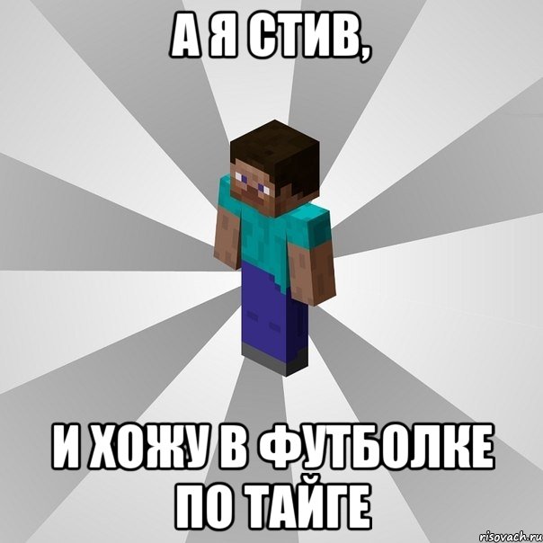 А я Стив, и хожу в футболке По тайге, Мем Типичный игрок Minecraft