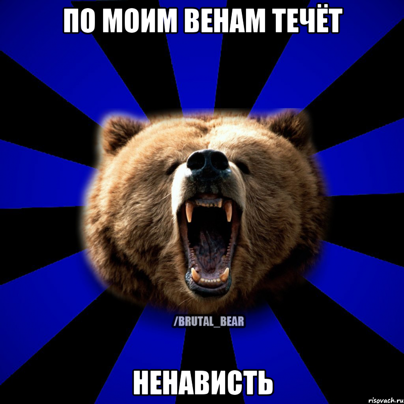 ПО МОИМ ВЕНАМ ТЕЧЁТ НЕНАВИСТЬ