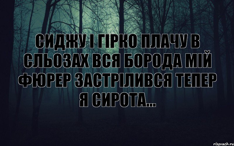 сиджу і гірко плачу в сльозах вся борода Мій Фюрер застрілився тепер я сирота..., Комикс тлен