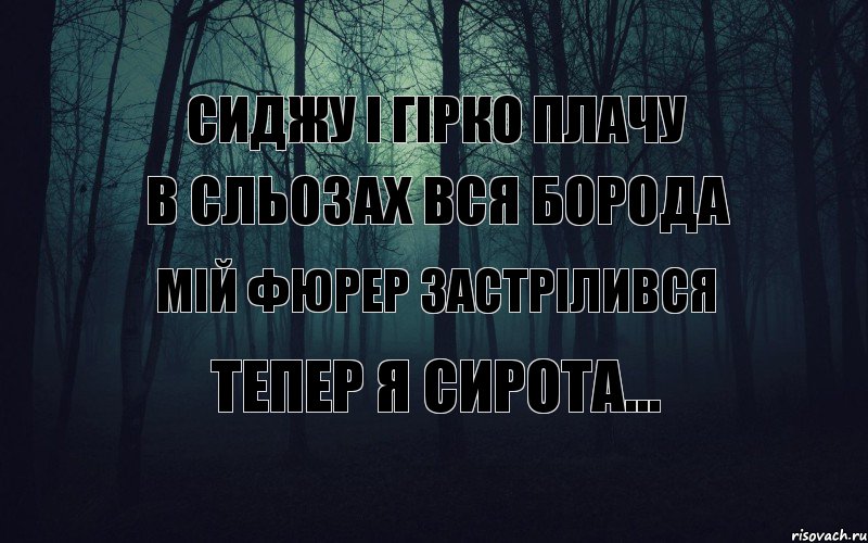 сиджу і гірко плачу в сльозах вся борода Мій Фюрер застрілився тепер я сирота..., Комикс тлен